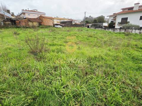 Terreno Rústico  Venda em Oliveira de Azeméis, Santiago de Riba-Ul, Ul, Macinhata da Seixa e Madail,Oliveira de Azeméis