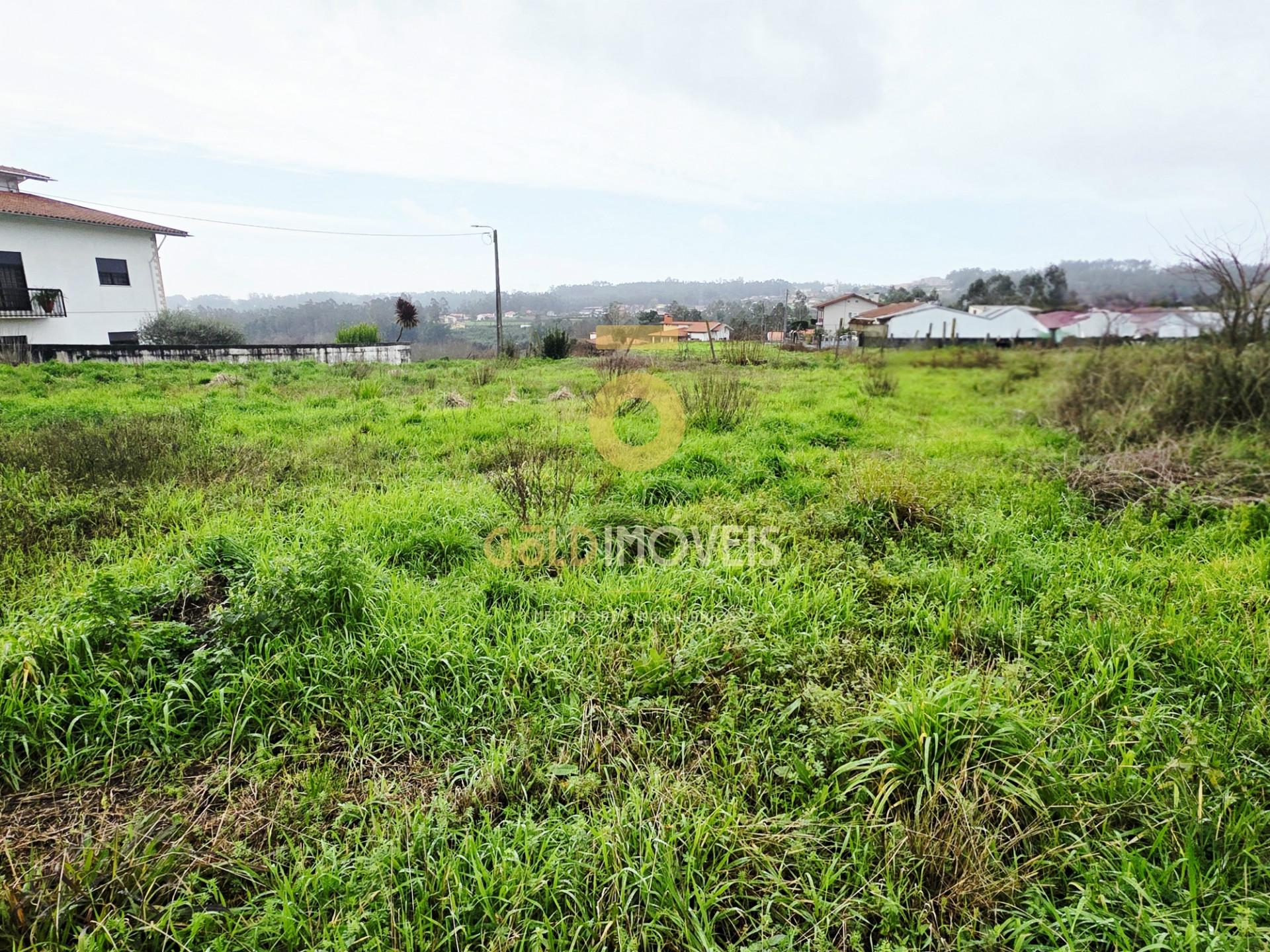 Terreno Rústico  Venda em Oliveira de Azeméis, Santiago de Riba-Ul, Ul, Macinhata da Seixa e Madail,Oliveira de Azeméis