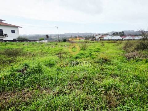Terreno Rústico  Venda em Oliveira de Azeméis, Santiago de Riba-Ul, Ul, Macinhata da Seixa e Madail,Oliveira de Azeméis