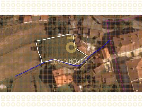 Terreno Rústico  Venda em Oliveira de Azeméis, Santiago de Riba-Ul, Ul, Macinhata da Seixa e Madail,Oliveira de Azeméis