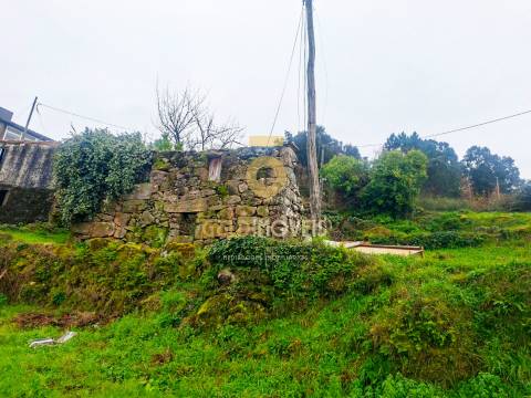 Moradia para Restaurar  Venda em São Cristóvão de Nogueira,Cinfães