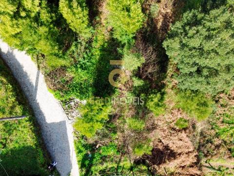 Terreno Para Construção  Venda em Raiva, Pedorido e Paraíso,Castelo de Paiva