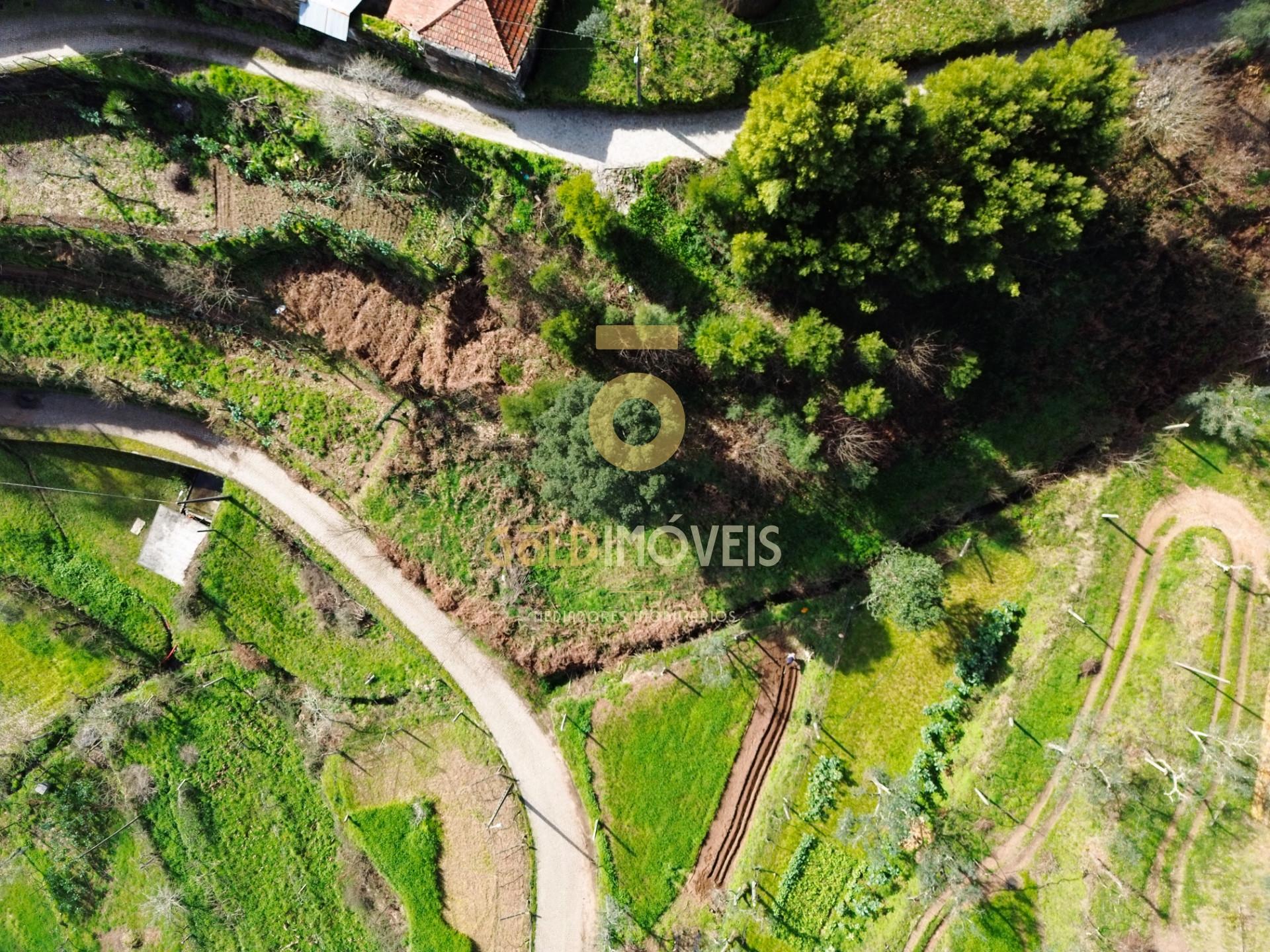 Terreno Para Construção  Venda em Raiva, Pedorido e Paraíso,Castelo de Paiva