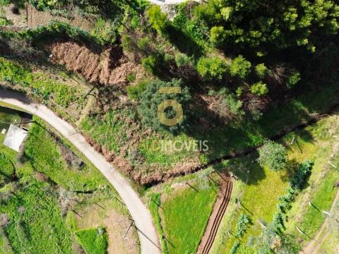 Terreno Para Construção  Venda em Raiva, Pedorido e Paraíso,Castelo de Paiva