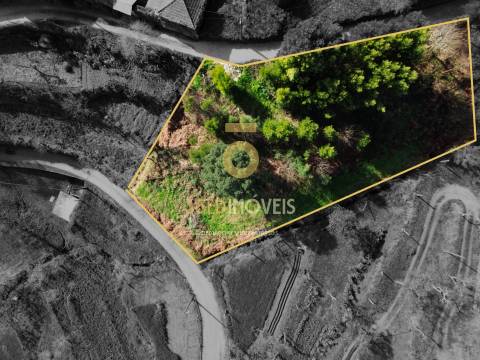 Terreno Para Construção  Venda em Raiva, Pedorido e Paraíso,Castelo de Paiva