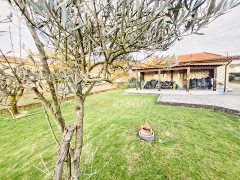 Moradia Isolada T3 Venda em Branca,Albergaria-a-Velha