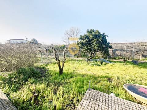 Terreno Rústico  Venda em Pardilhó,Estarreja