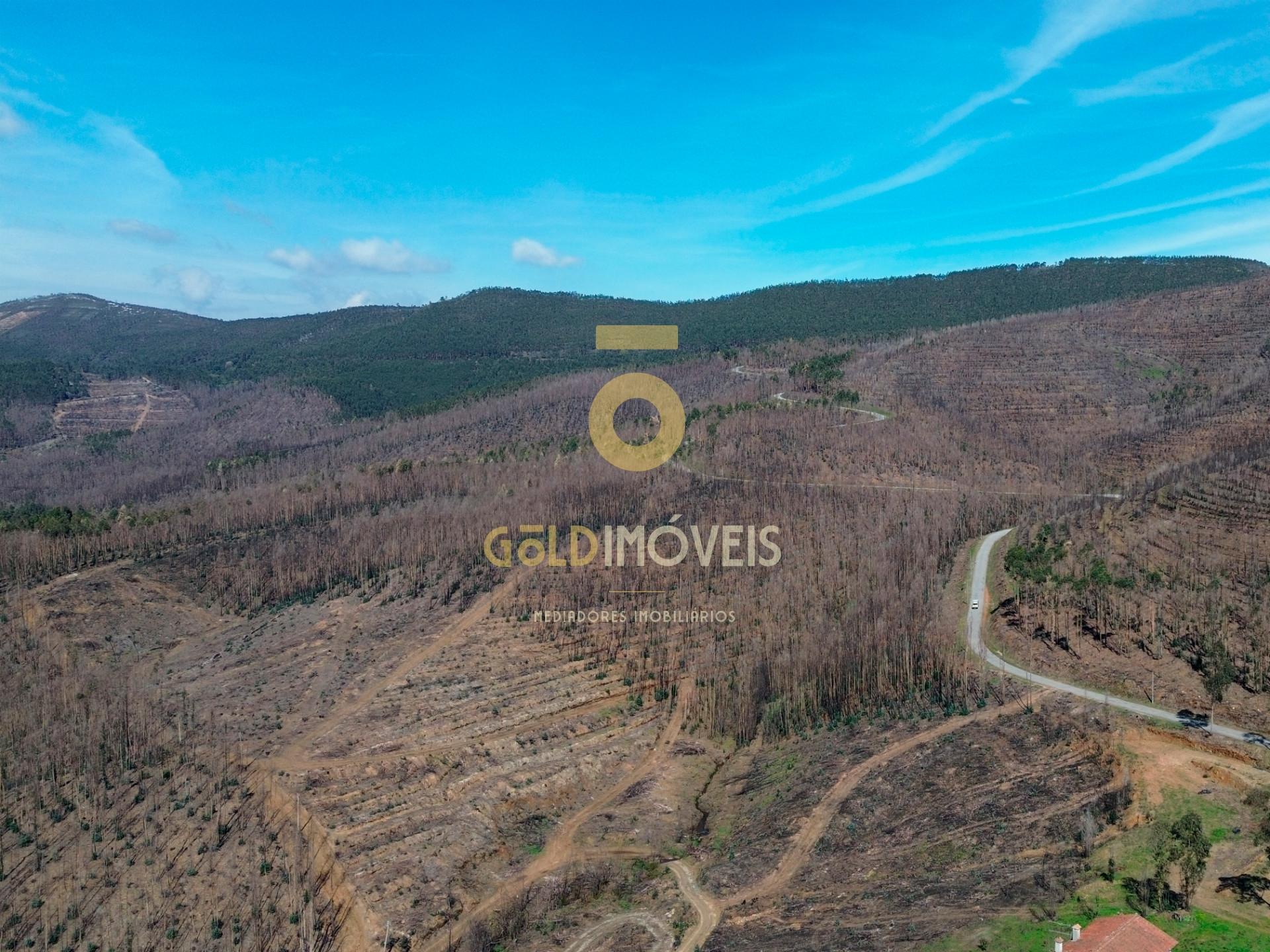 Terreno Para Construção  Venda em Real,Castelo de Paiva