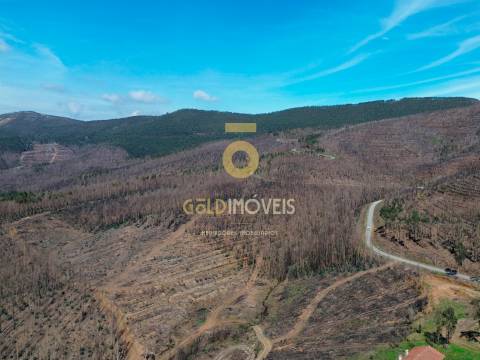 Terreno Para Construção  Venda em Real,Castelo de Paiva