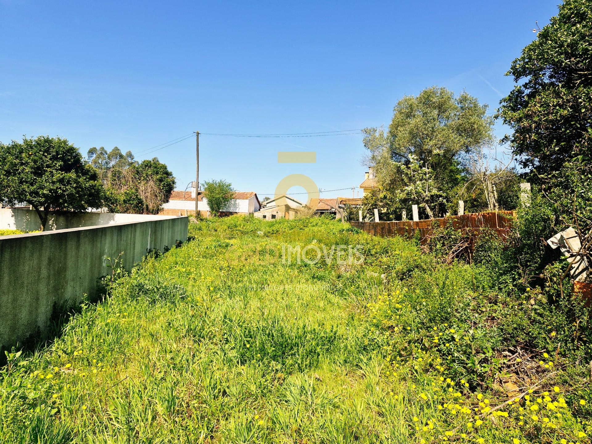 Moradia para Restaurar T2 Venda em Oliveira de Azeméis, Santiago de Riba-Ul, Ul, Macinhata da Seixa e Madail,Oliveira de Azeméis