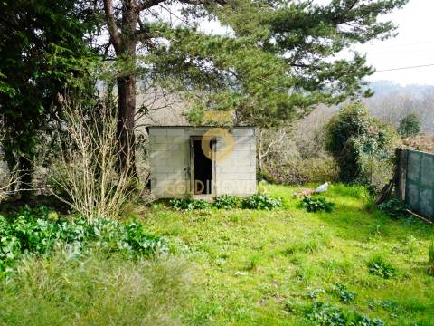 Moradia para Restaurar T3 Venda em Banho e Carvalhosa,Marco de Canaveses