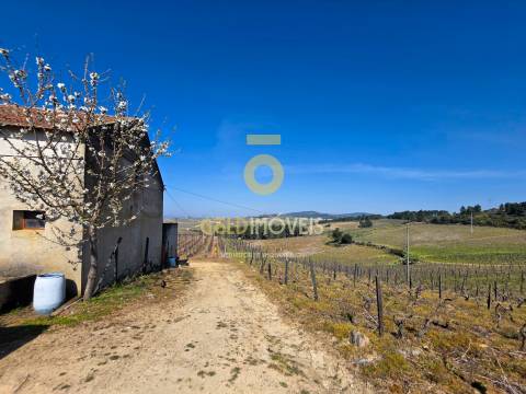 Quinta  Venda em Castedo e Cotas,Alijó