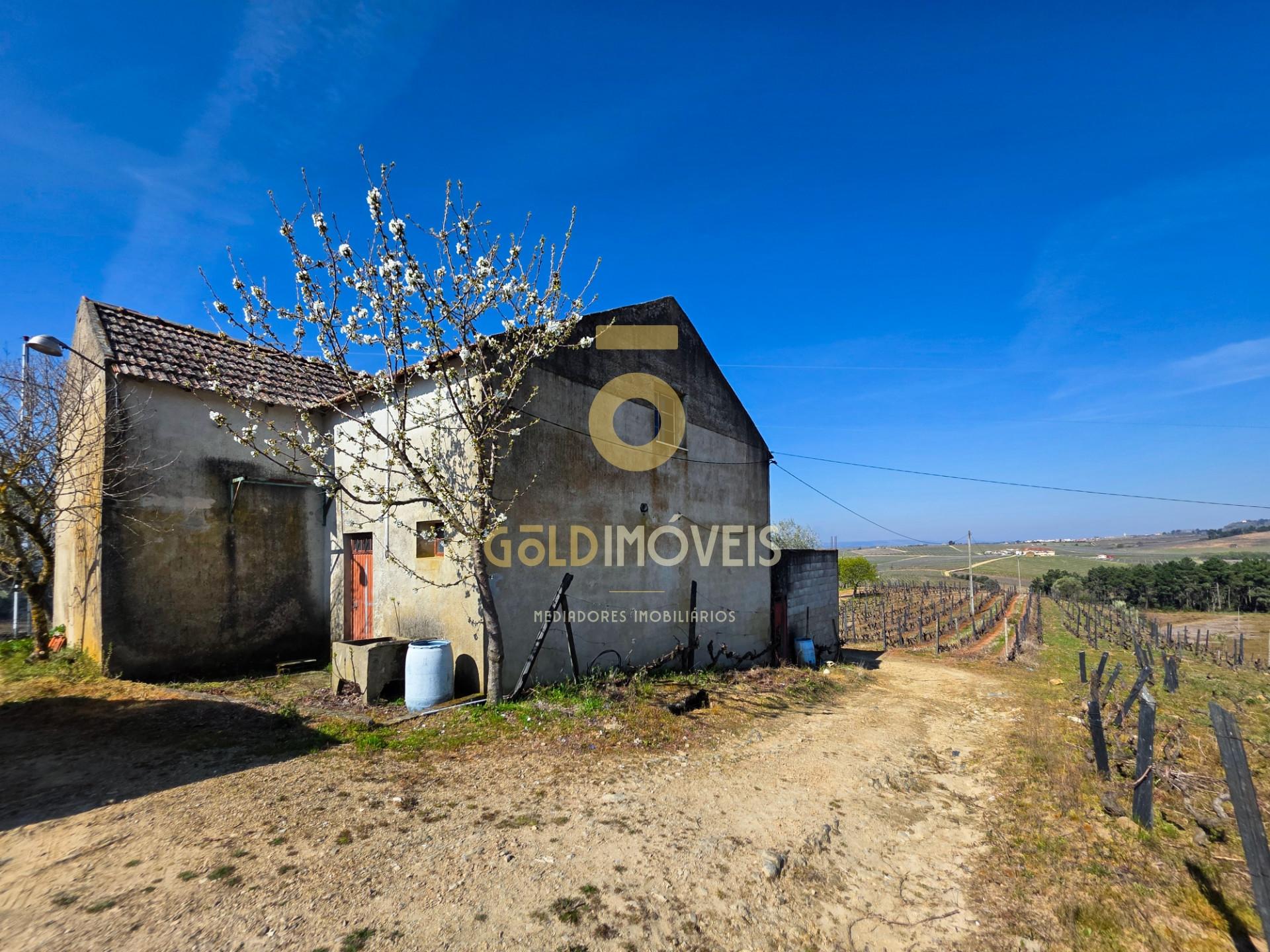 Quinta  Venda em Castedo e Cotas,Alijó