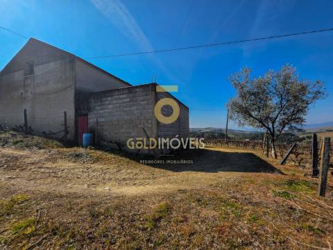 Quinta  Venda em Castedo e Cotas,Alijó