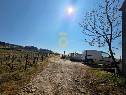 Quinta  Venda em Castedo e Cotas,Alijó