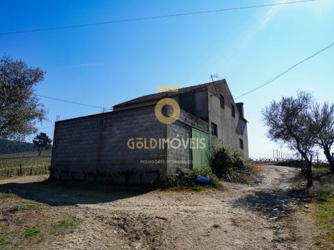 Quinta  Venda em Castedo e Cotas,Alijó