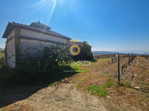 Quinta  Venda em Alijó,Alijó