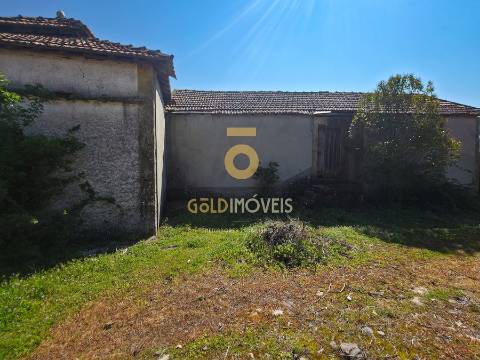 Quinta  Venda em Alijó,Alijó