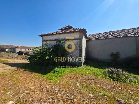 Quinta  Venda em Alijó,Alijó