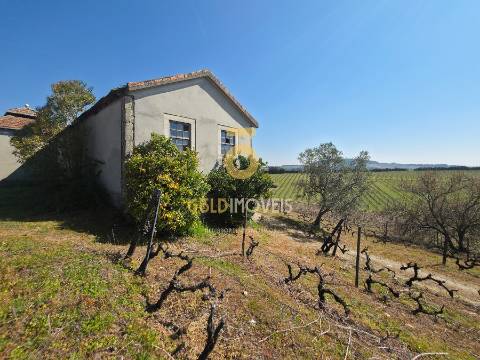 Quinta  Venda em Alijó,Alijó