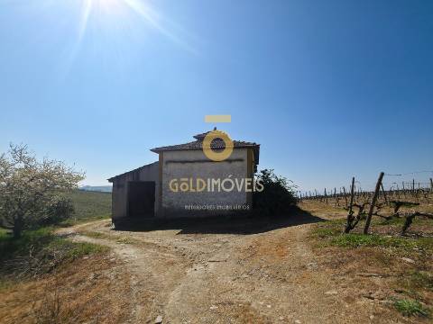 Quinta  Venda em Alijó,Alijó