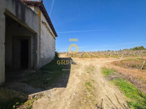 Quinta  Venda em Alijó,Alijó