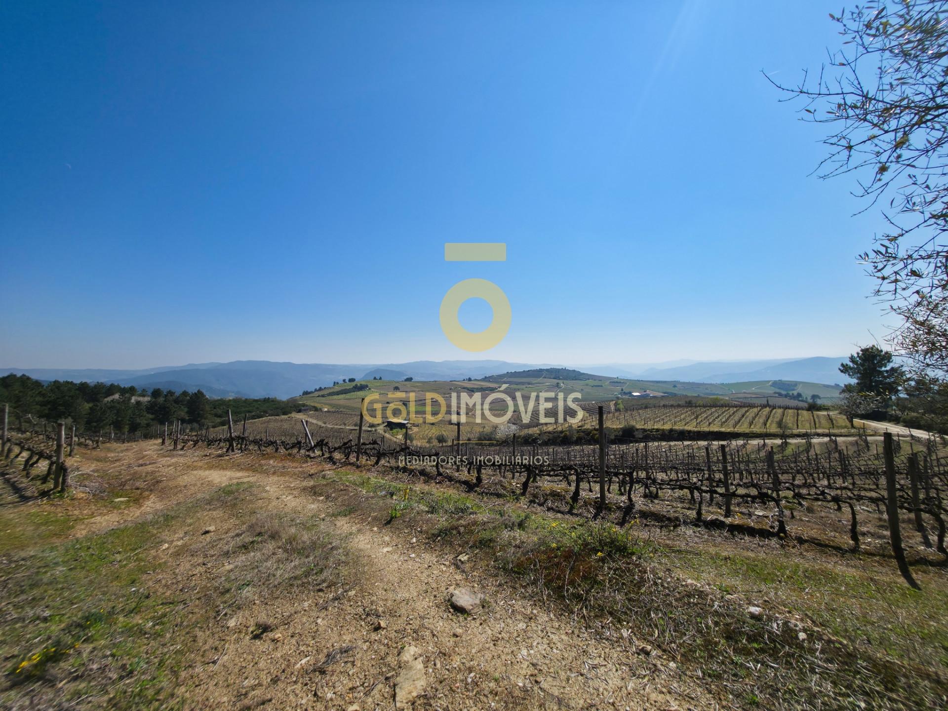 Quinta  Venda em São Mamede de Ribatua,Alijó