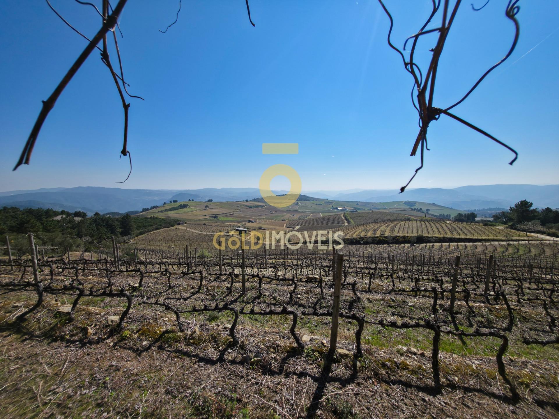 Quinta  Venda em São Mamede de Ribatua,Alijó