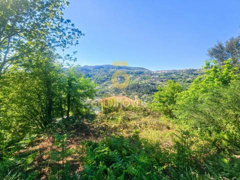 Moradia Rústica T2 Venda em Espadanedo,Cinfães