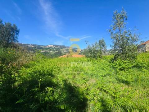 Moradia Rústica T2 Venda em Espadanedo,Cinfães