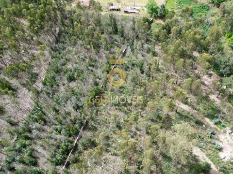 Terreno Rústico  Venda em Vila Boa do Bispo,Marco de Canaveses