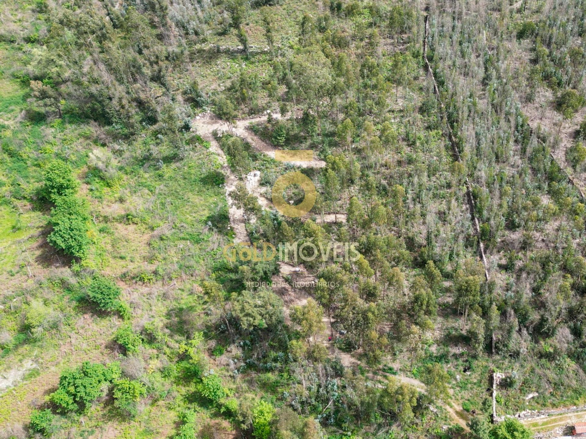 Terreno Rústico  Venda em Vila Boa do Bispo,Marco de Canaveses