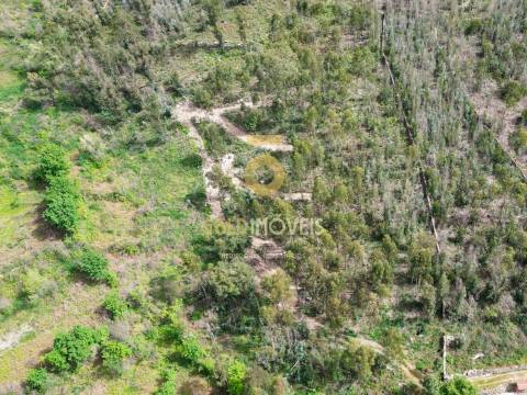 Terreno Rústico  Venda em Vila Boa do Bispo,Marco de Canaveses