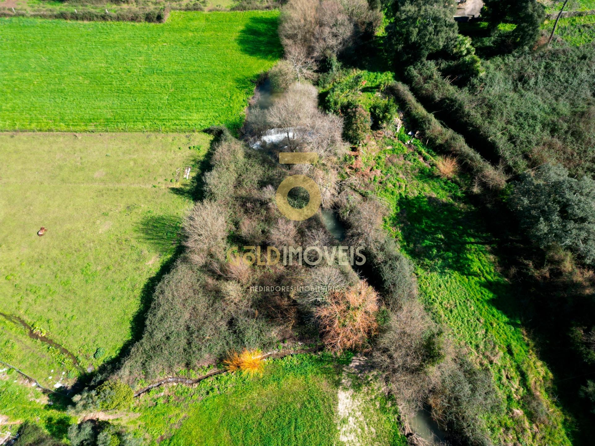 Terreno Rústico  Venda em Gandra,Paredes