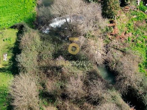 Terreno Rústico  Venda em Gandra,Paredes