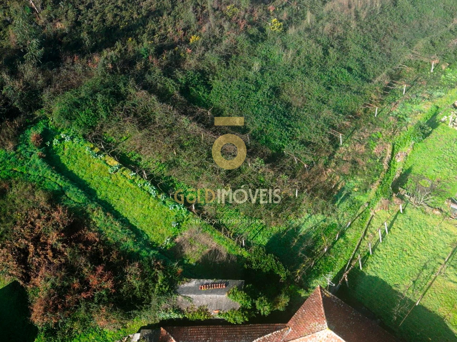Terreno Rústico  Venda em Gandra,Paredes