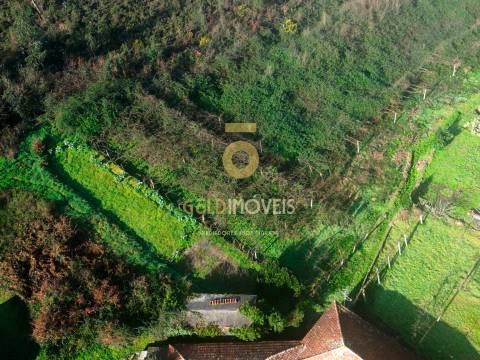 Terreno Rústico  Venda em Gandra,Paredes