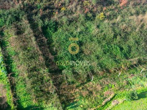 Terreno Rústico  Venda em Gandra,Paredes