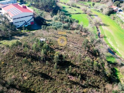 Terreno Rústico  Venda em Gandra,Paredes