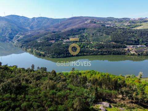 Moradia T4 Venda em Santa Maria de Sardoura,Castelo de Paiva