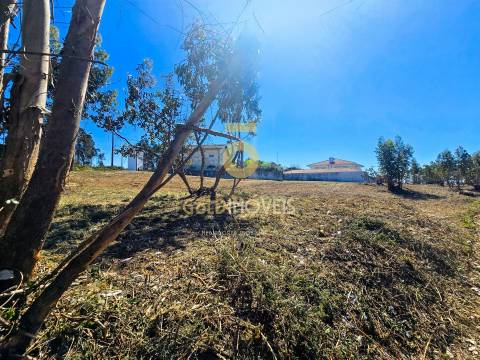 Terreno Para Construção  Venda em Santa Maria da Feira, Travanca, Sanfins e Espargo,Santa Maria da Feira