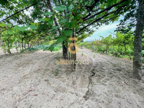 Moradia para Restaurar T2 Venda em Sobrado e Bairros,Castelo de Paiva
