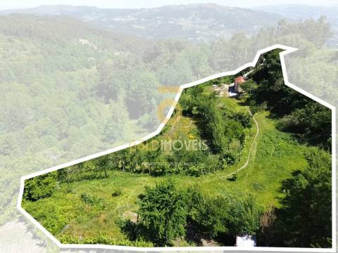 Terreno Rústico  Arrendamento em Santiago de Piães,Cinfães