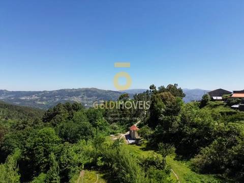 Terreno Rústico  Arrendamento em Santiago de Piães,Cinfães