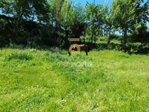 Terreno Rústico  Arrendamento em Santiago de Piães,Cinfães