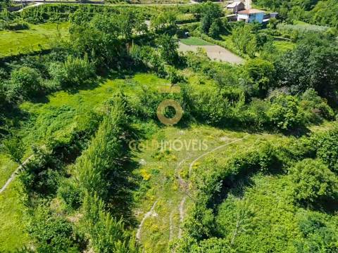Terreno Rústico  Arrendamento em Santiago de Piães,Cinfães
