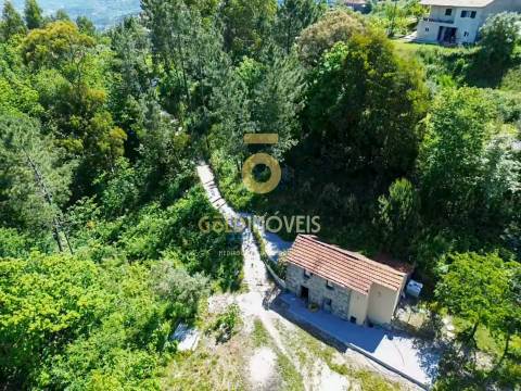 Terreno Rústico  Arrendamento em Santiago de Piães,Cinfães
