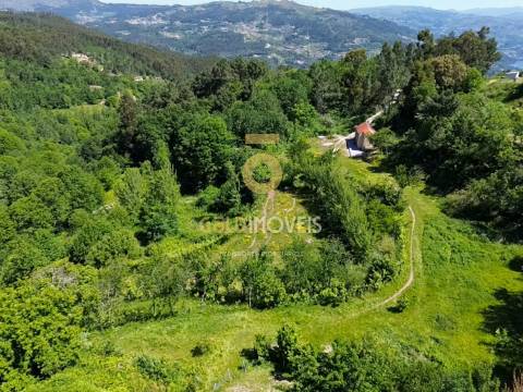 Terreno Rústico  Venda em Santiago de Piães,Cinfães