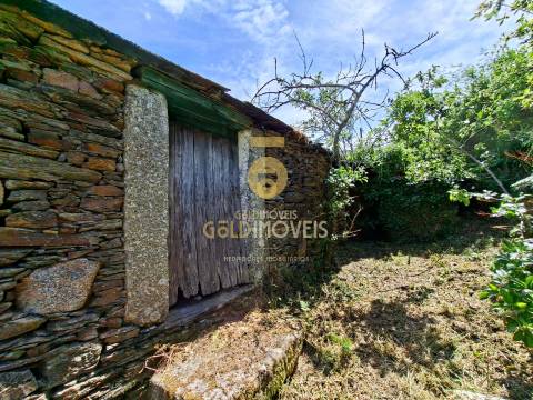 Moradia Devoluta T2 Venda em Real,Castelo de Paiva