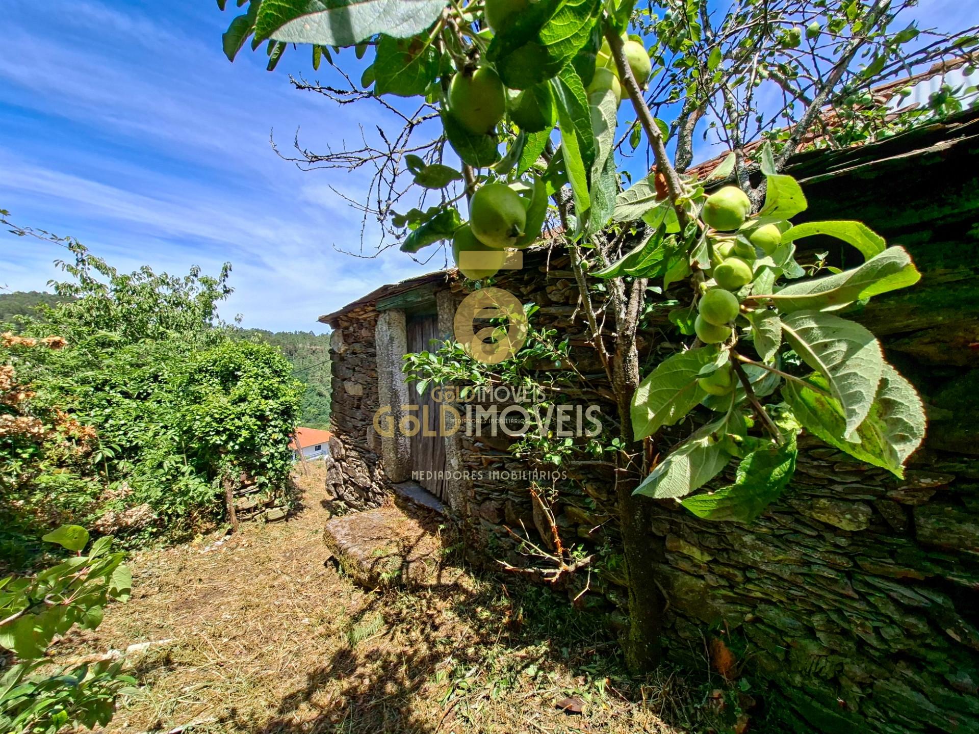 Moradia Devoluta T2 Venda em Real,Castelo de Paiva